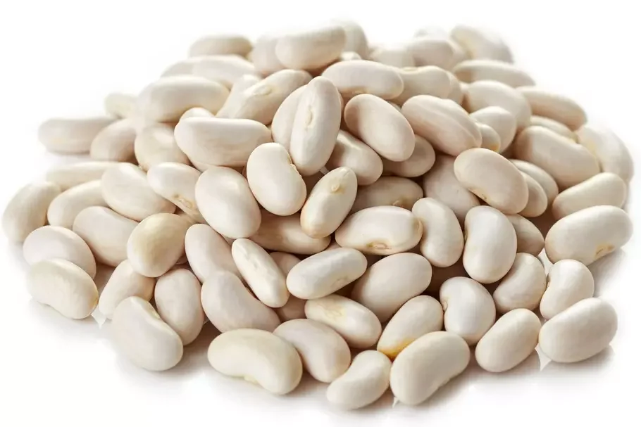 Haricots