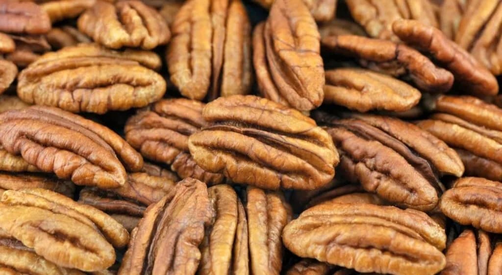 Noix de pécan